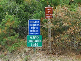 Cranberry Bog IIMG 4211